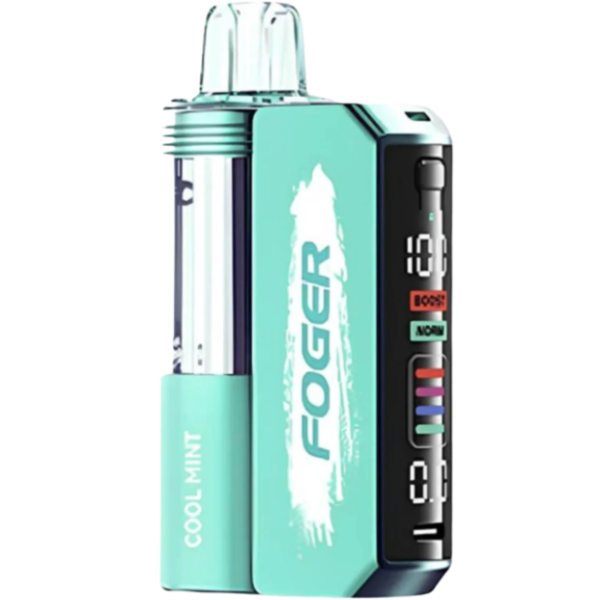 Cool Mint – Foger Switch Pro 30K